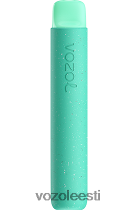 VOZOL STAR 600 troopiline punts - Vozol Vape Review R20L2N99
